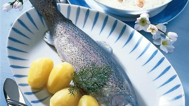 Eine Forelle ist gesund und schmeckt. Foto: Archiv