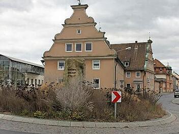 Die Bepflanzung des "Strasser Kreisels" in Ebern ist sowohl aus Sicht des Bauhofleiters vor Ort als auch aus Sicht des Kreisfachberaters sinnvoll, schön und wenig arbeitsintensiv. Foto: Ralf Kestel