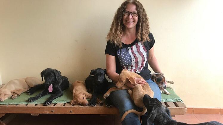 Sibylle Gäck hat sich auf Fuerteventura bei "Streunerliebe" um die Hunde gekümmert.   Foto: privat
