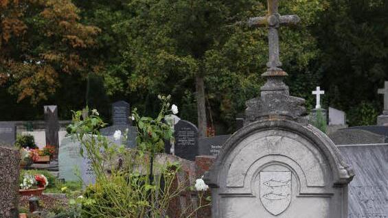 Der Friedhof in Forchheim Symbolfoto: Barbara Herbst