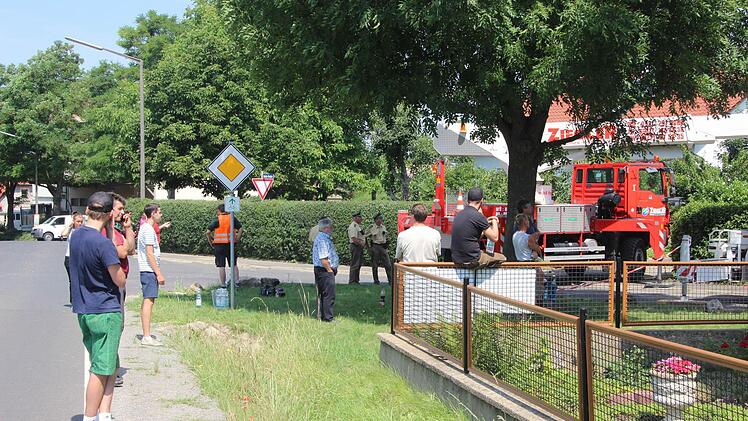 Zaungäste: Viele Passanten beobachteten, wie der 70-Tonner aufgerichtet wurde. Foto: Diana Fuchs