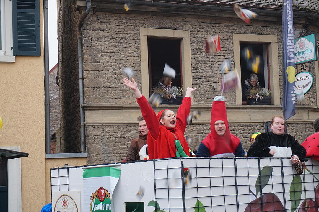 Landkreisfaschingszug 2015