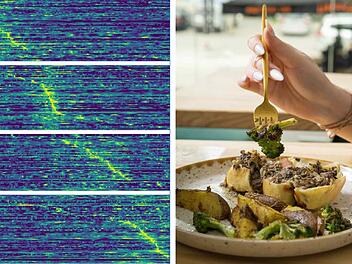FAU-Forscher untersuchen Gehirnvorgänge während Nahrungsaufnahme
