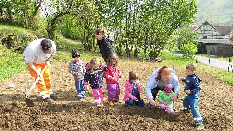 Auf eine reiche Kartoffelernte hoffen die Kinder des Kinderhauses "Gerne Gro&szlig;" in Sulzthal.  Foto: Dina Dauer