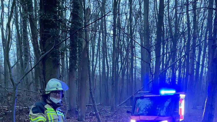 Forchheim: Brand in Wald
