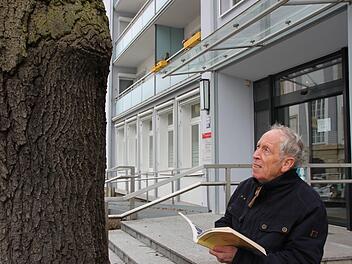 Norbert Klodwig hat eine Vermutung. Die Bäume in der Maxstraße sind Zeitzeugen Bad Kissinger Stadtgeschichte. Auf alten Bildern der Synagoge hat er die Eichen entdeckt. Das Stadtarchiv bewertet seine Theorie skeptisch. Foto: Charlotte Wittnebel-Schmitz