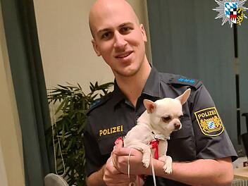 Tierheim Nürnberg: Rettungskräfte finden einsamen Hund