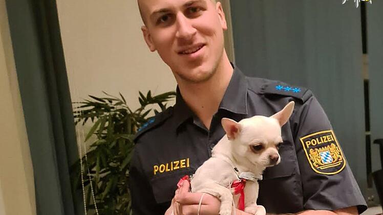 Tierheim Nürnberg: Rettungskräfte finden einsamen Hund