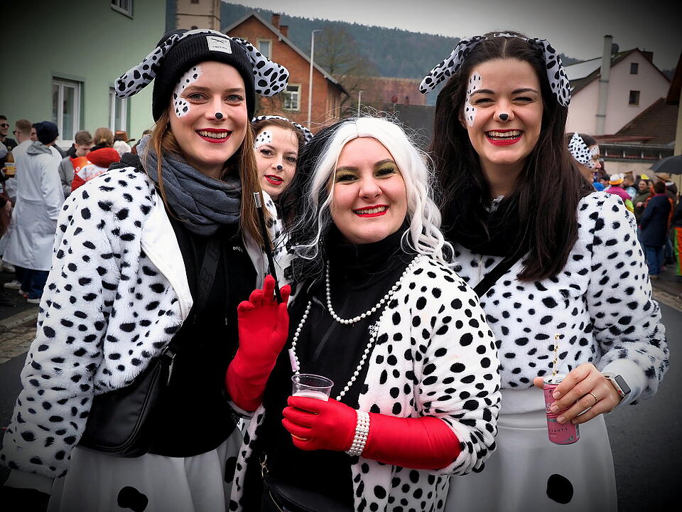 Fasching 2024 in Steinach