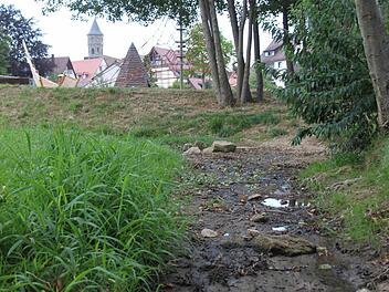 Nur noch aus Pfützen besteht der Brandbach in Neunkirchen. Darin schnappen kleine Fische nach Luft und Wasser. Foto: Martin Rehm
