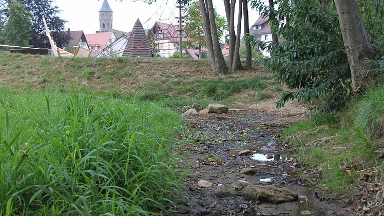 Nur noch aus Pfützen besteht der Brandbach in Neunkirchen. Darin schnappen kleine Fische nach Luft und Wasser. Foto: Martin Rehm