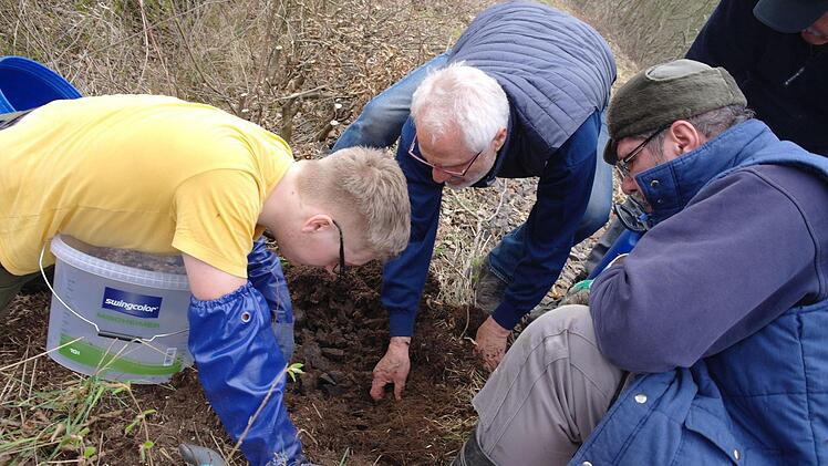 Bei jedem Ameisenhügel kontrollieren Rene Belian, Hubert Brand, Jürgen Dierks und Tadeusz Kostyszyn (v.l.), ob man wirklich alle Tiere, auf jeden Fall aber mindestens eine Königin erwischt hat. Foto: Stephanie Elm
