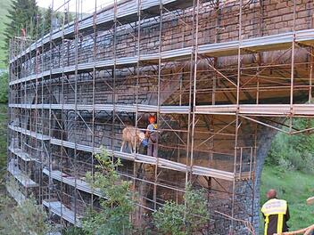 Im Landkreis Rosenheim verirrte sich zum Wochenstart ein Jungrind auf einer Br&uuml;ckenbaustelle. Das Tier verfiel in Panik und hatte Gl&uuml;ck im Ungl&uuml;ck. Foto: Feuerwehr Flintsbach am Inn