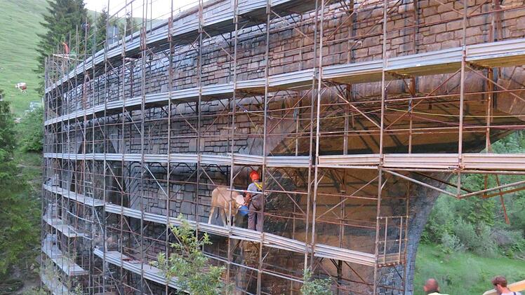 Im Landkreis Rosenheim verirrte sich zum Wochenstart ein Jungrind auf einer Brückenbaustelle. Das Tier verfiel in Panik und hatte Glück im Unglück. Foto: Feuerwehr Flintsbach am Inn