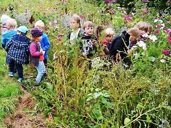 Was für ein Anblick voller Farbenvielfalt, und dann der Duft. Die Kinder vom Kindergarten Neukenroth können gar nicht genug schnuppern und riechen an der herrlichen Blütenpracht ihrer vielfältigen Blumen- und Kräuterwiese. Foto: K.- H. Hofmann