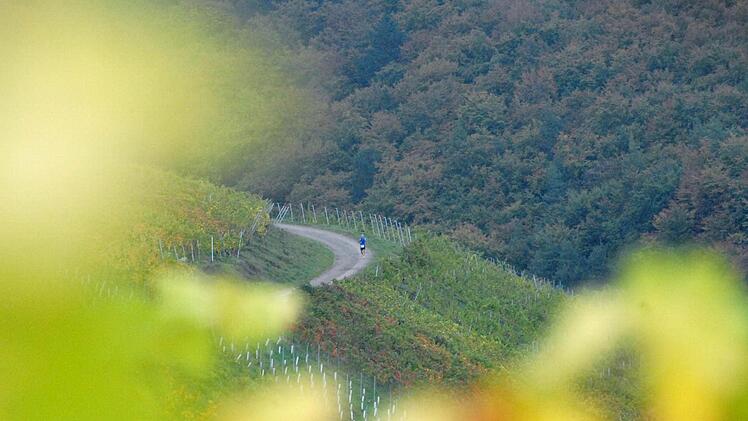 Stimmungsbild vom Ramsthaler Weinberglauf. Foto: Hopf