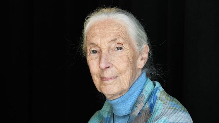 Tierforscherin Jane Goodall ist tot, sie starb im Alter von 91 Jahren.