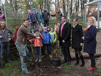 Die beiden ersten Apfelbäume werden an der Grundschule und Mittelschule Eggolsheim eingepflanzt. Foto: Mathias  Erlwein
