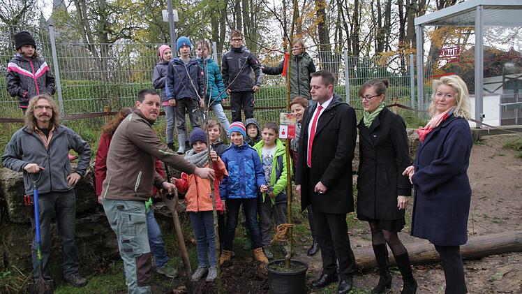 Die beiden ersten Apfelbäume werden an der Grundschule und Mittelschule Eggolsheim eingepflanzt. Foto: Mathias  Erlwein