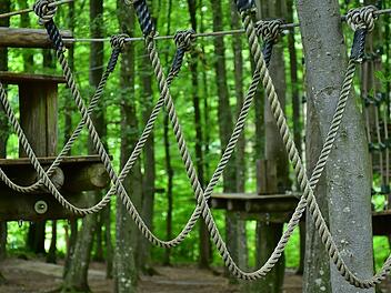 Der Kletterwald ist ein Highlight für Menschen jeglichen Alters.