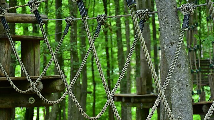 Der Kletterwald ist ein Highlight für Menschen jeglichen Alters.