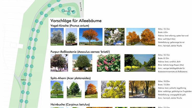 Ein Entwurf für die Allee. Quelle: Stadt Hallstadt