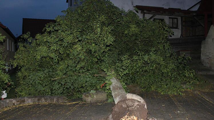 Die Böen machten dem Wurzelwerk zu schaffen. Der Baum an der Alten Schmiede in Gemünda knickte um. Foto: Carsten Höllein