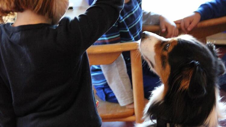Die Trainingseinheiten mit Hund Kelthy finden zweimal pro Woche im Literacy-Zimmer statt. Foto: Katharina Müller-Sanke