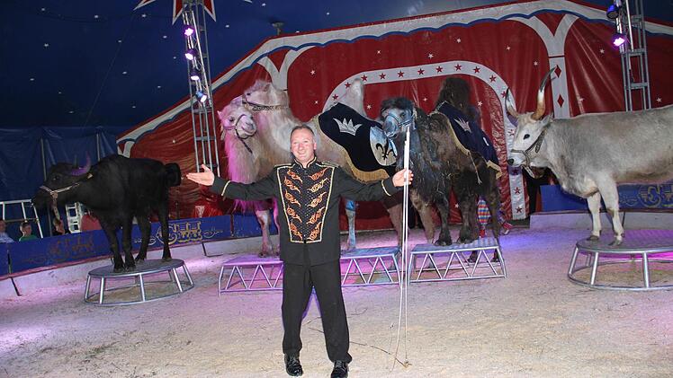 Im Programm des Zirkus "Henry" sind die Kamele und Steppenrinder ein Hingucker. Foto: Gerda Völk