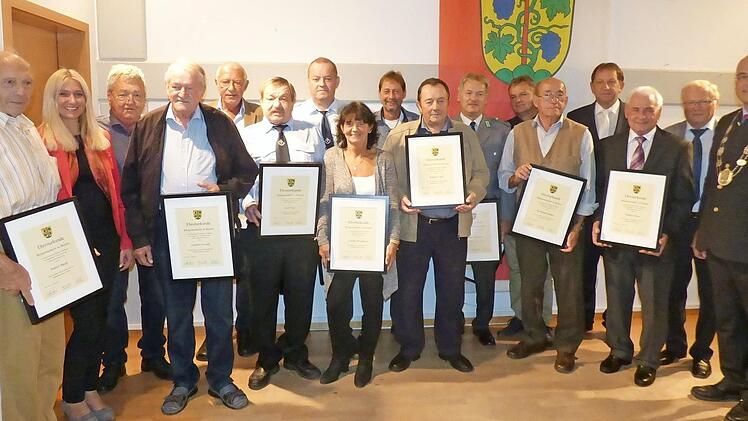 Bei der Verleihung der Bronzenen Bürgermedaille (v. l.): Baptist Bauer, MdB Silke Launert, Gerhard Schwalb, Joachim Freund, Peter Weißenberger, Josef Trux, Erich Rumpler, Claudia Wiegärtner, Benno Beck, Rudolf Vogler, Norbert Seybold, Siegfried Hutzler, Wolfgang Stanger, Dritter Bürgermeister Mnafred Eckert, Rüdiger Klose, Zweiter Bürgermeister Georg Bauernschmidt und Bürgermeister Hanngörg Zimmermann Foto: Weichert