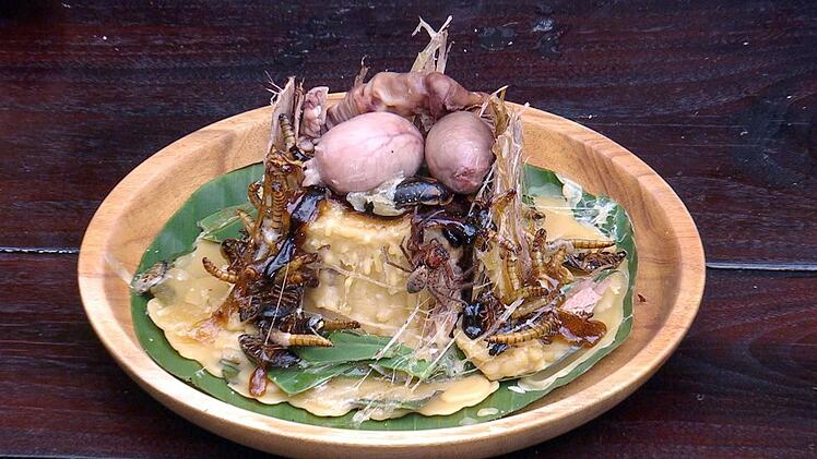 Am zweiten Kamelhoden scheiterte Hubert. Ansonst lieferte auch er eine beeindruckend grandiose Leistung ab - beim tapferen Mampfen.