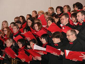 Die Sänger vom Gundelsheimer Chor "Chorissima" verstehen viel von ihrem Fach. Fotos: fra-press