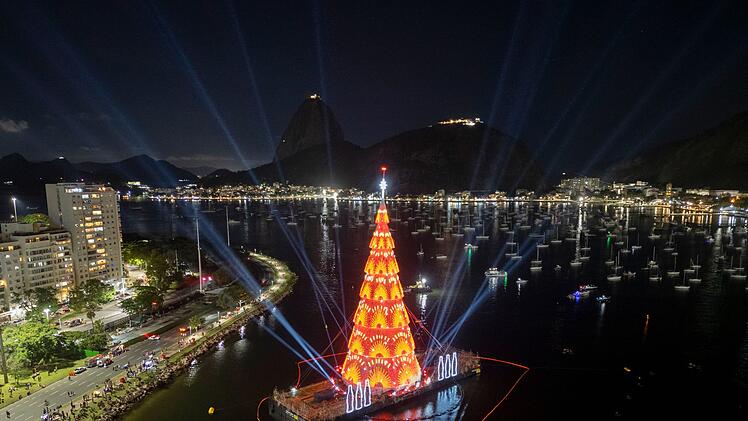 Weihnachtsbäume - Rio de Janeiro