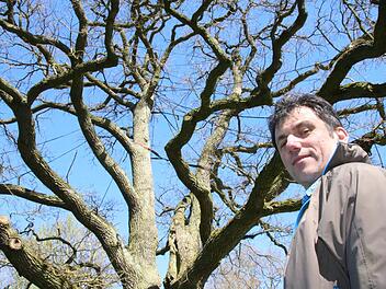 Fachberater Dieter Büttner betreut die 82 Naturdenkmäler im Landkreis Bad Kissingen. Foto: Ralf Ruppert
