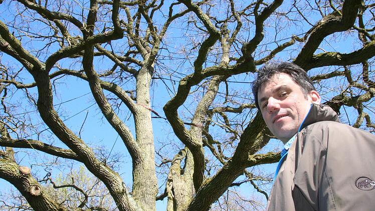 Fachberater Dieter Büttner betreut die 82 Naturdenkmäler im Landkreis Bad Kissingen. Foto: Ralf Ruppert