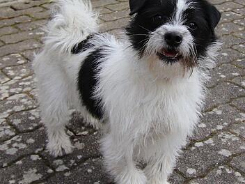 Energieb&uuml;ndel sucht neues Zuhause