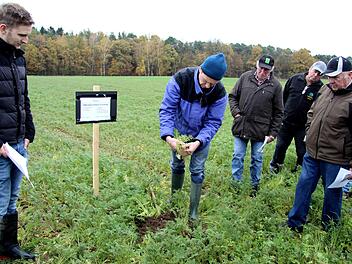 Nikolaus Ehnis zeigt, wie lang die Wurzeln gewachsen sind.Richard Sänger