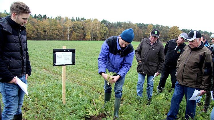 Nikolaus Ehnis zeigt, wie lang die Wurzeln gewachsen sind.Richard Sänger