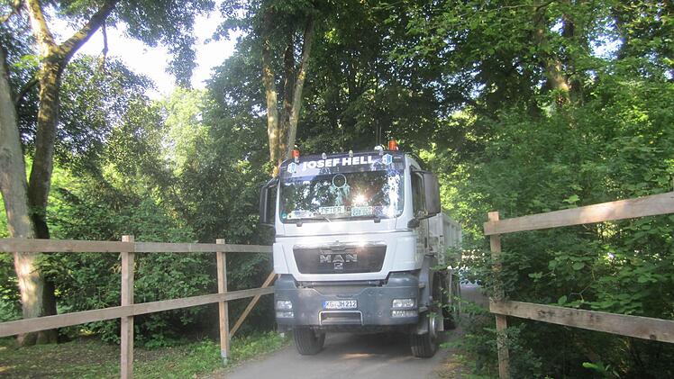 Zäune schützen die Bäume im Luitpoldpark.