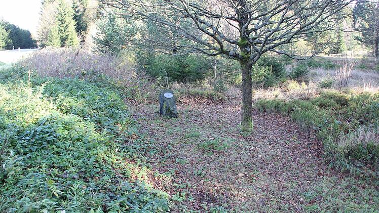 Der Gedenkstein steht an der Straße bei Brennersgrün.
