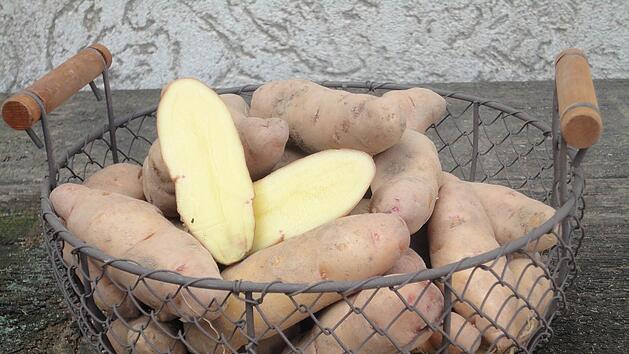 Nicht nur das Bamberger H&ouml;rnla ist als erstklassiges regionales Produkt ausgezeichnet. Auch 12 weitere K&ouml;stlichkeiten in und um Bamberg d&uuml;rfen den Titel "Unser Original" tragen. Insgesamt wurden 169 Lebensmittel der verschiedensten Kategorien ausgezeichnet. Symbolbild: C. Pack