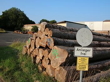 Aktuell lagert die Gemeinde auf dem Gelände der ehemaligen Hähnchenschlachterei in Dittlofsroda Käfer-Holz. In Zukunft soll es einen Mix aus Wohnen und Gewerbe dort geben.