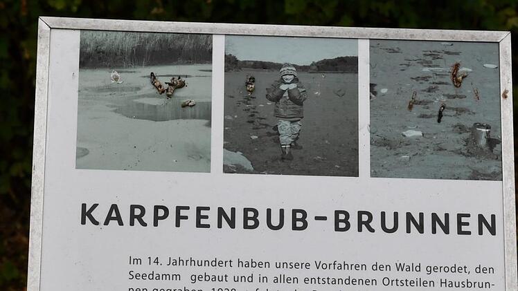 Erklärung zum Karpfenbub-Brunnen. Foto: Ronald Rinklef