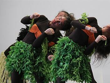 Die Tanzgruppe aus Sulzthal überzeugte die Jury und landete auf dem ersten Platz beim Turnier. Foto: Gerd Schaar