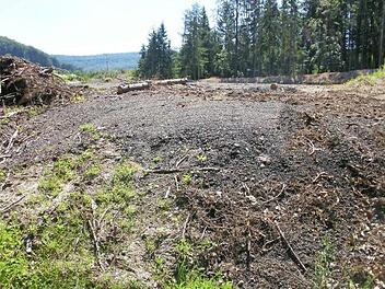 Ohne Genehmigung wurde hier ein Hektar Wald platt gemacht und Asphalt aufgef&uuml;llt. Foto: Udo Billen