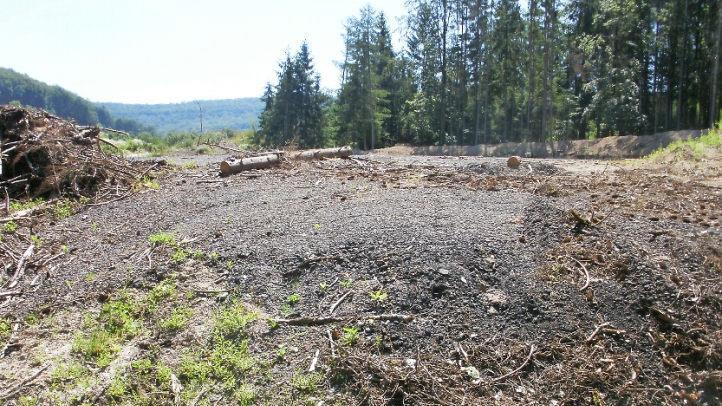 Ohne Genehmigung wurde hier ein Hektar Wald platt gemacht und Asphalt aufgef&uuml;llt. Foto: Udo Billen