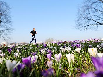 Tipps zur Zeitumstellung
