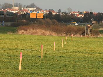 Die Umrisse für die Hallen sind mit Holzpflöcken abgesteckt. Über einen vorhabenbezogenen Bebauungsplan möchte die Firma CS_Trans die Logistikhallen  am nordöstlichen Ortsrand von Grundfeld errichten. Foto: Matthias Einwag