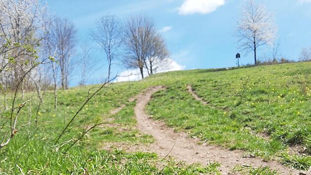 Das Fahrradfahren auf dem Staffelberg-Plateau und den Wiesen im Steilhangbereich ist nicht gestattet.