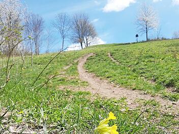 Das Fahrradfahren auf dem Staffelberg-Plateau und den Wiesen im Steilhangbereich ist nicht gestattet.